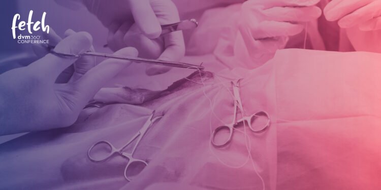 Fetch, a dvm360 conference May 29–30 2026